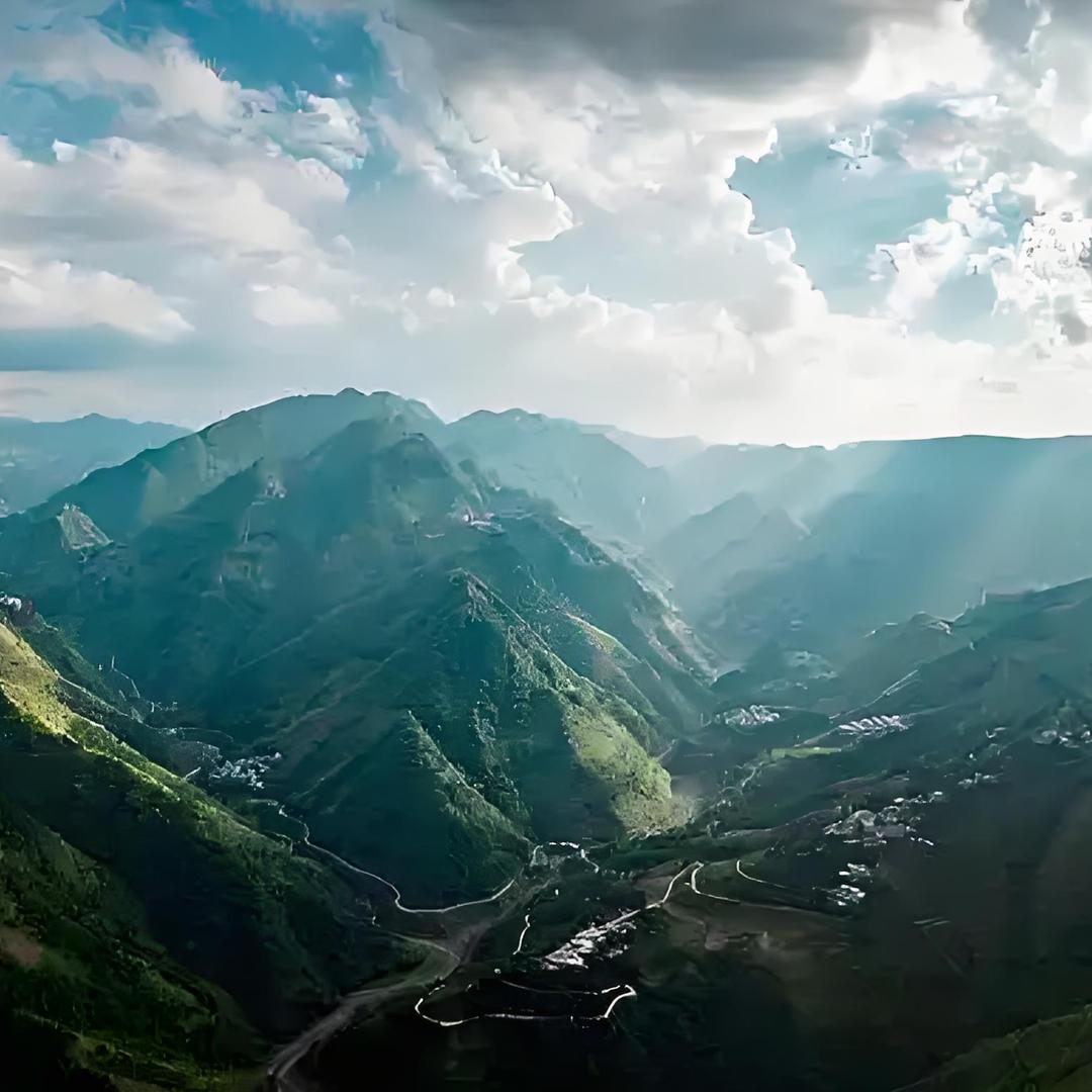 乌蒙山脉蓝莓基地