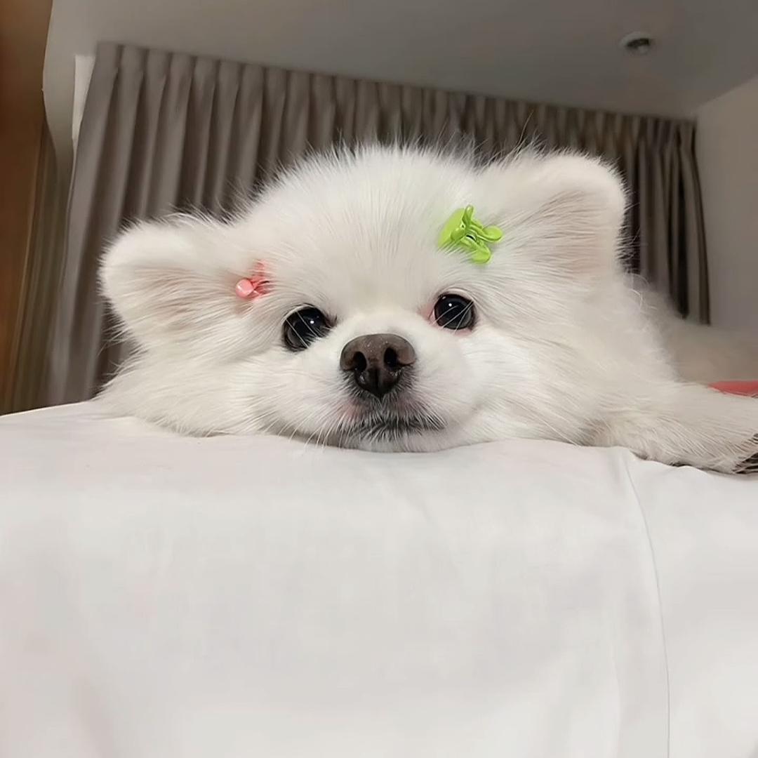 Liuxx