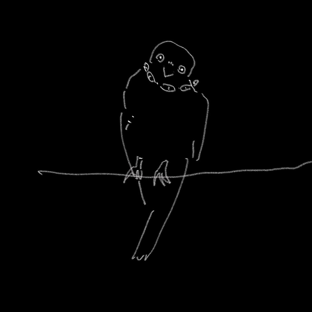 小鱼是小yu∗⭒