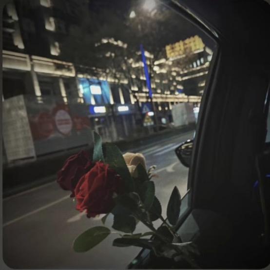 予汝青郎意无妨！