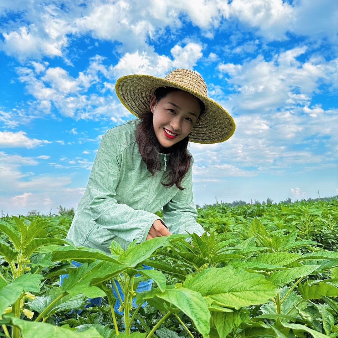 小安书记（安颖）