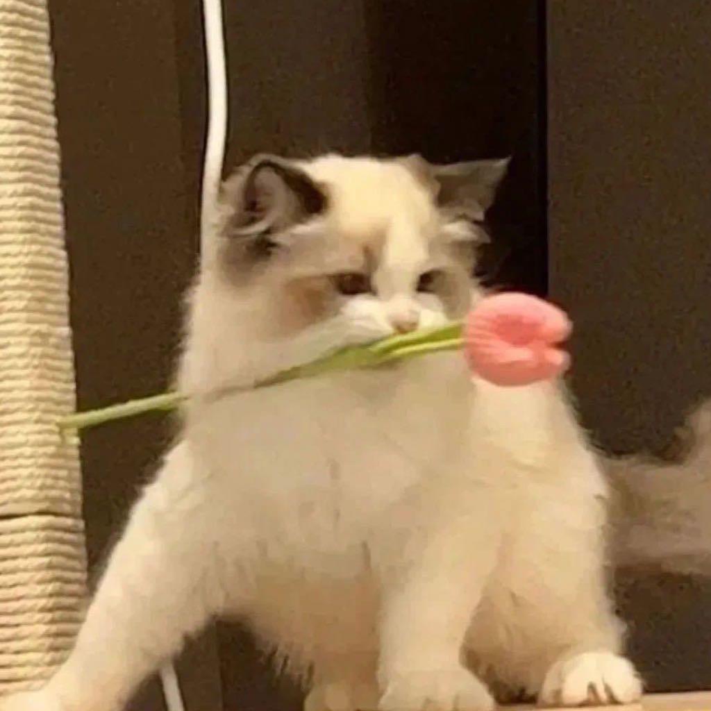 想想今晚吃什么