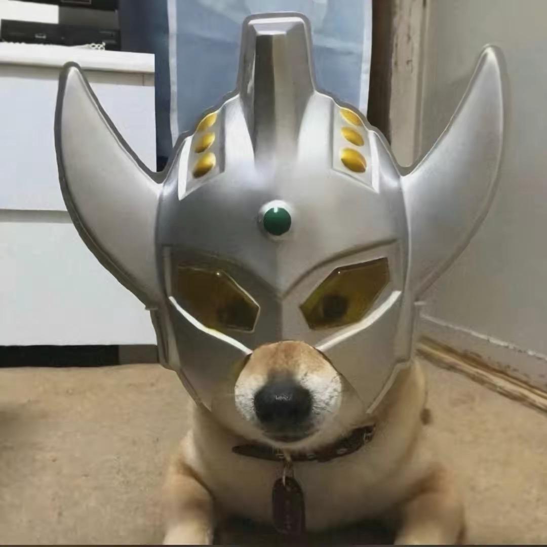 张张 .
