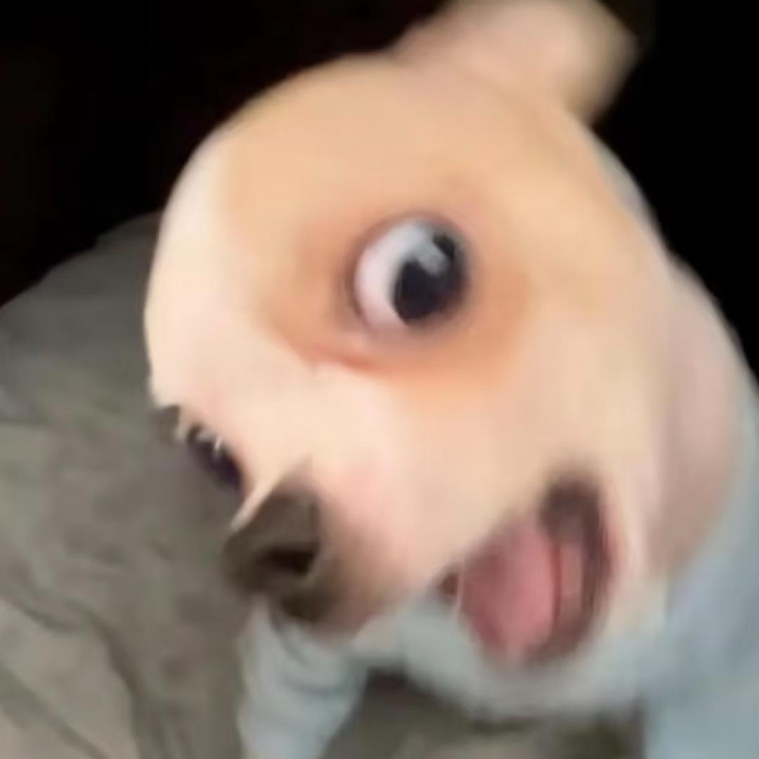 0519