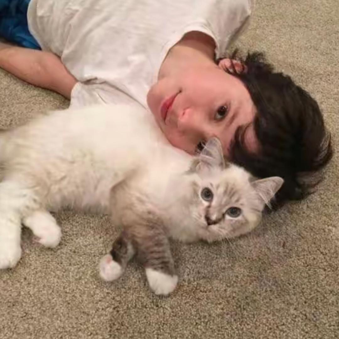 ￴￴￴  ￴￴ ￴  ￴