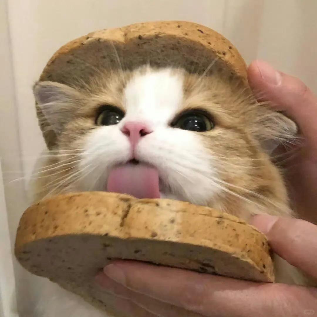 元味梅汁