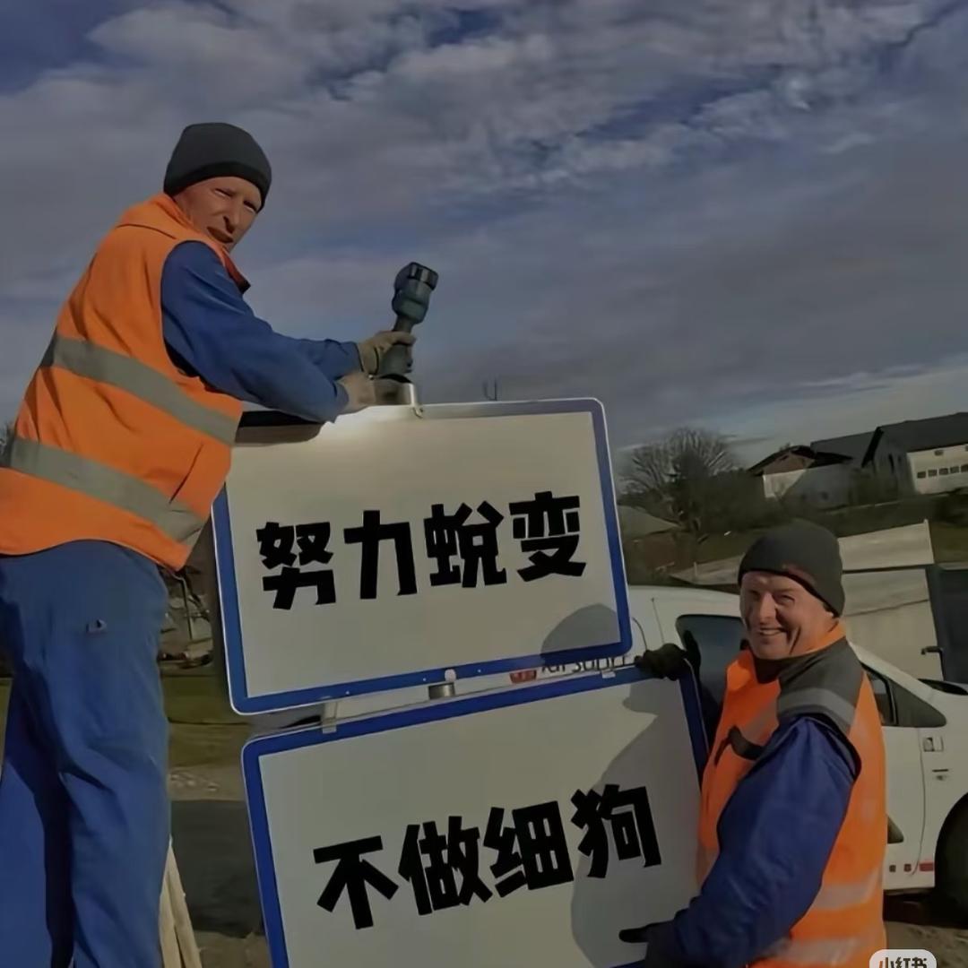 成都新津训练营🏆(成人班，青少年班)