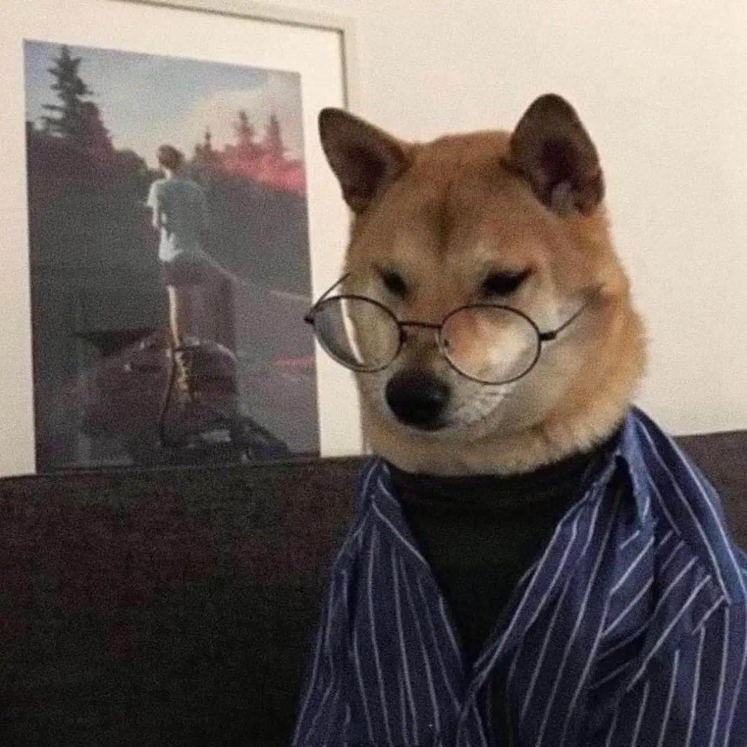 很酷不撩妹