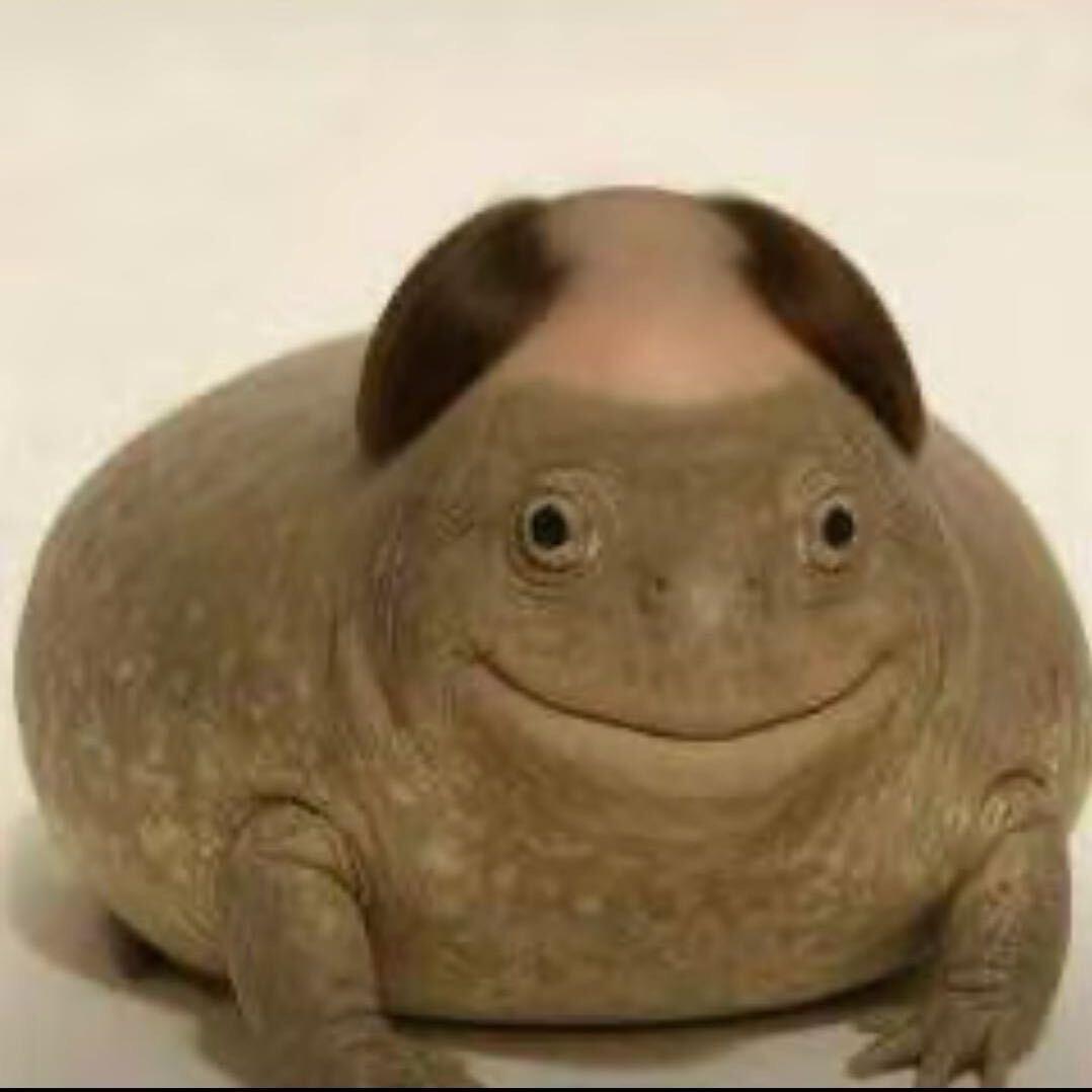 偷裤衩子的夜晚被巫婆变蛙