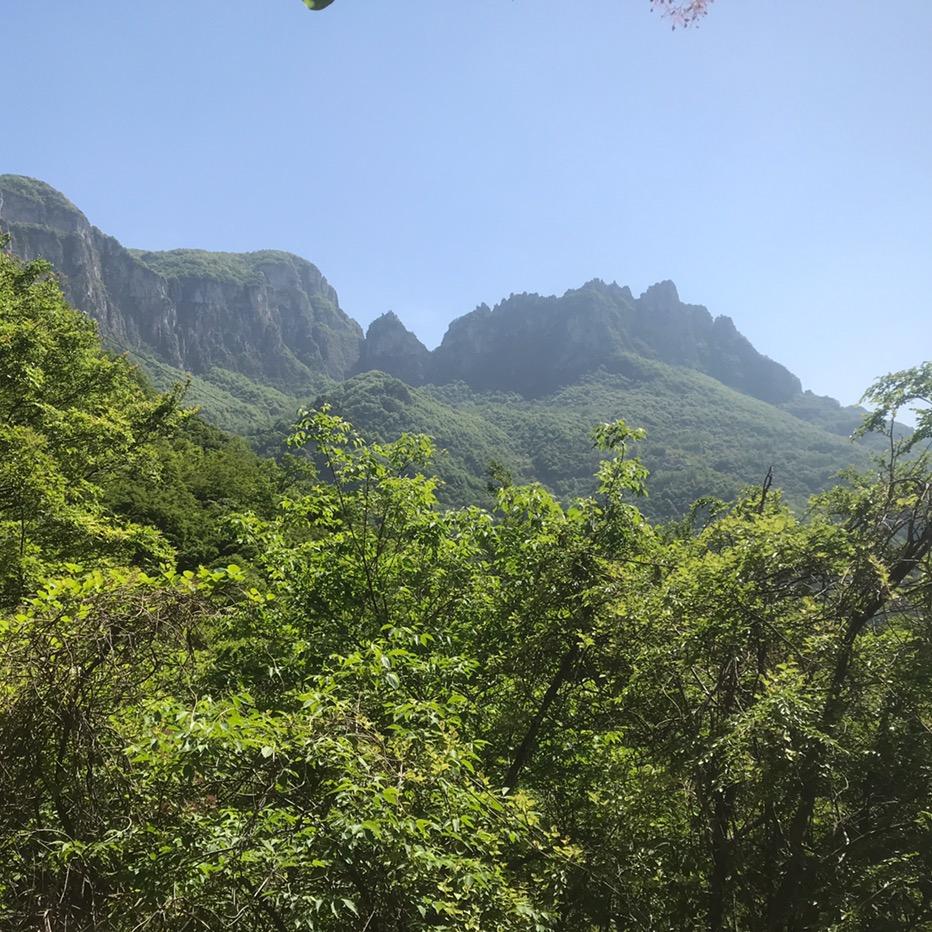 游梦元梦