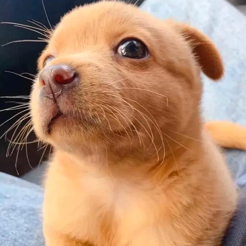 《憧＆憬………》