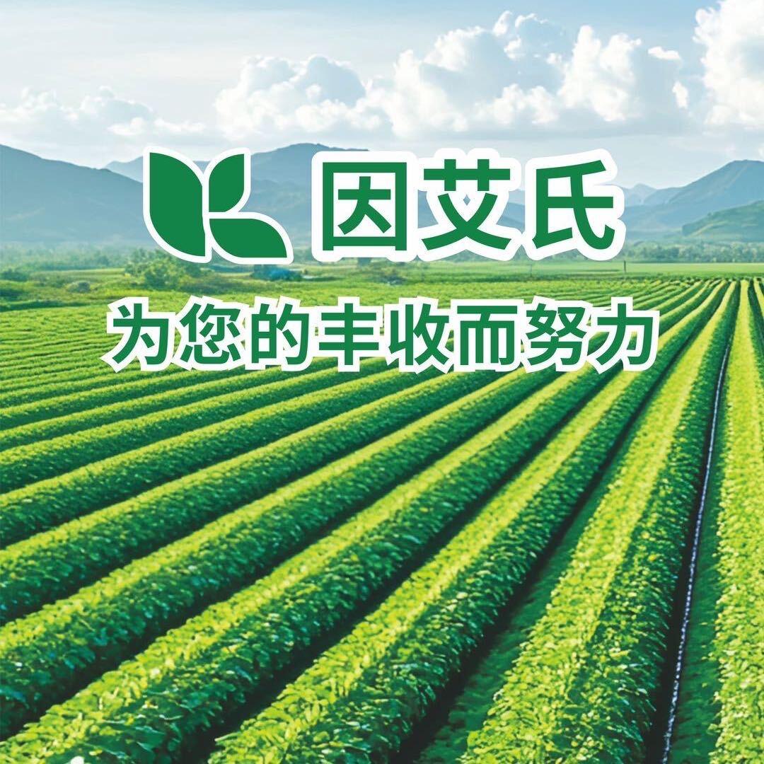 因艾氏厂家直销
