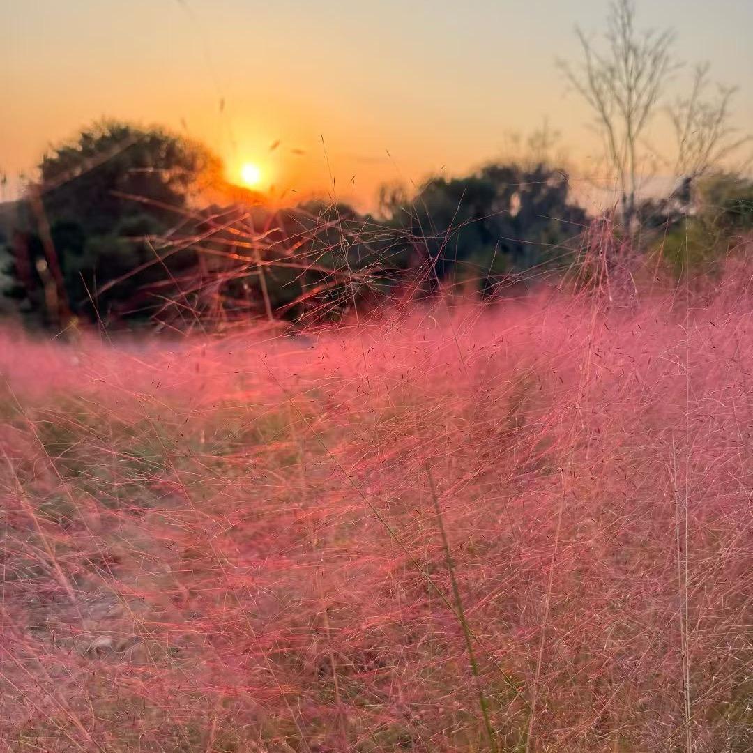 ᑋᵉᑊᑊᵒ ᵕ̈  小贺ᥫᩣ༠°