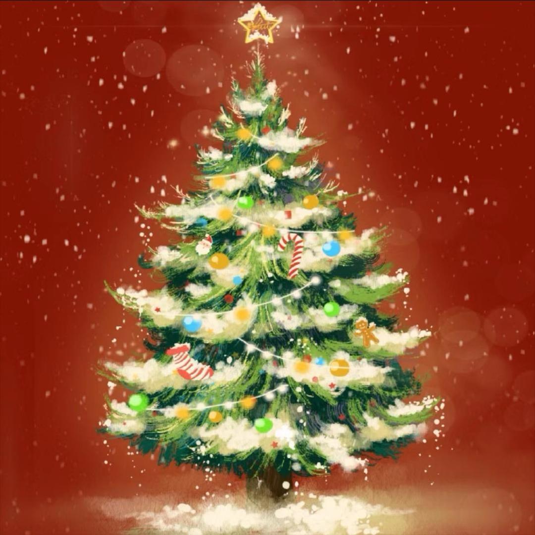 我在中路养鸭‘