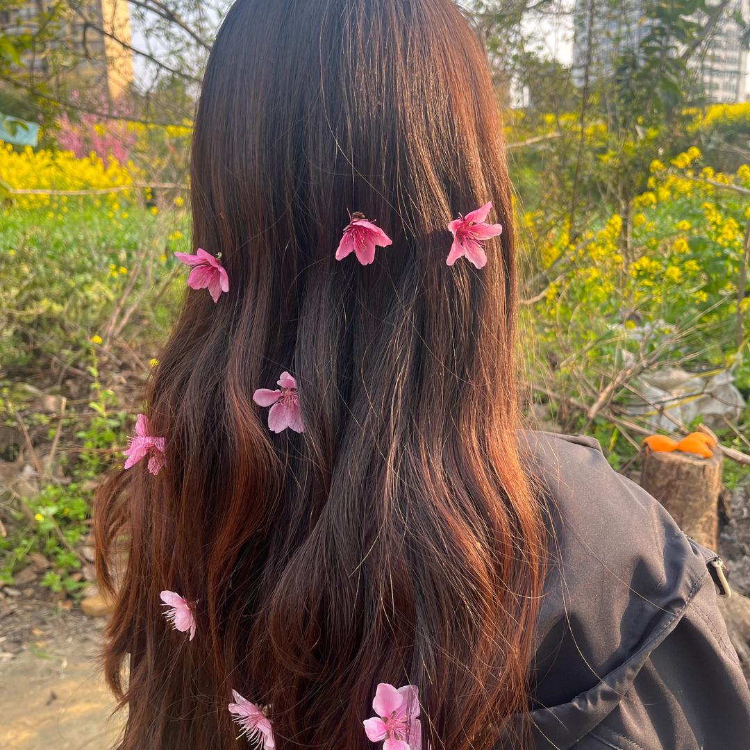 🍀好朋友🍀