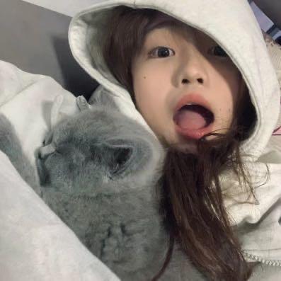 我好困💤