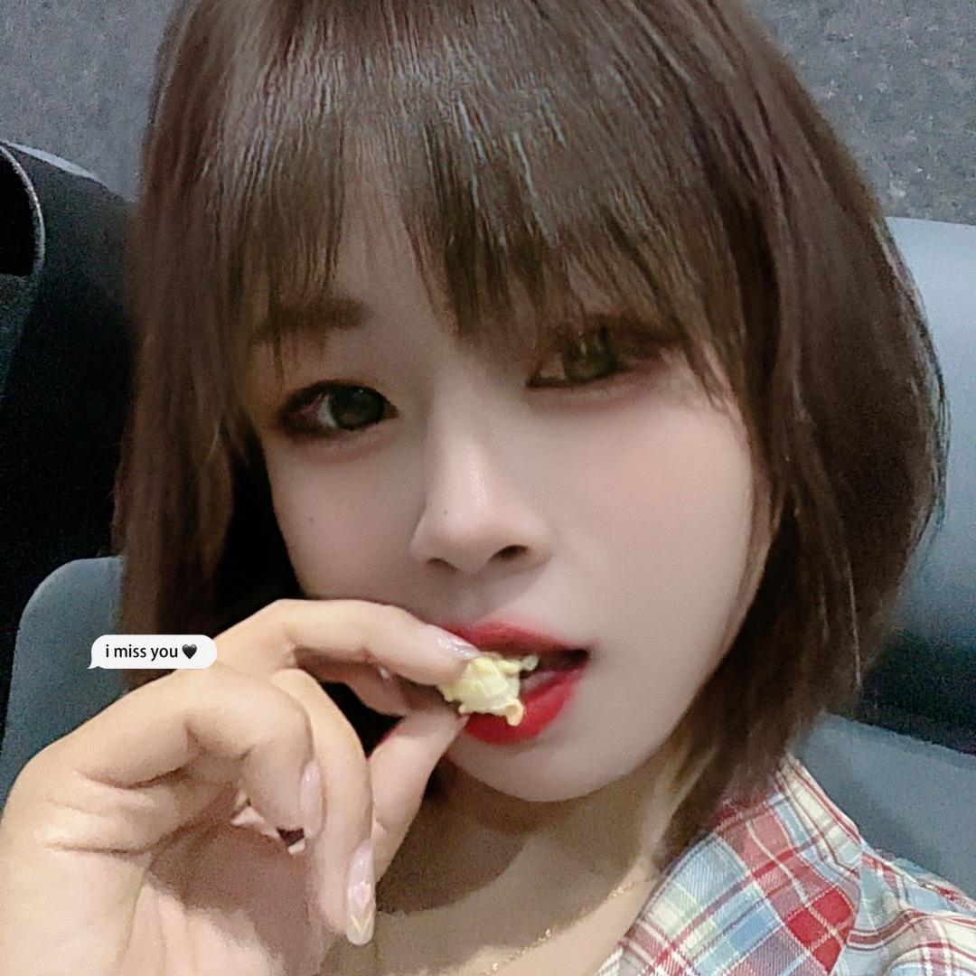 🌸花儿😝