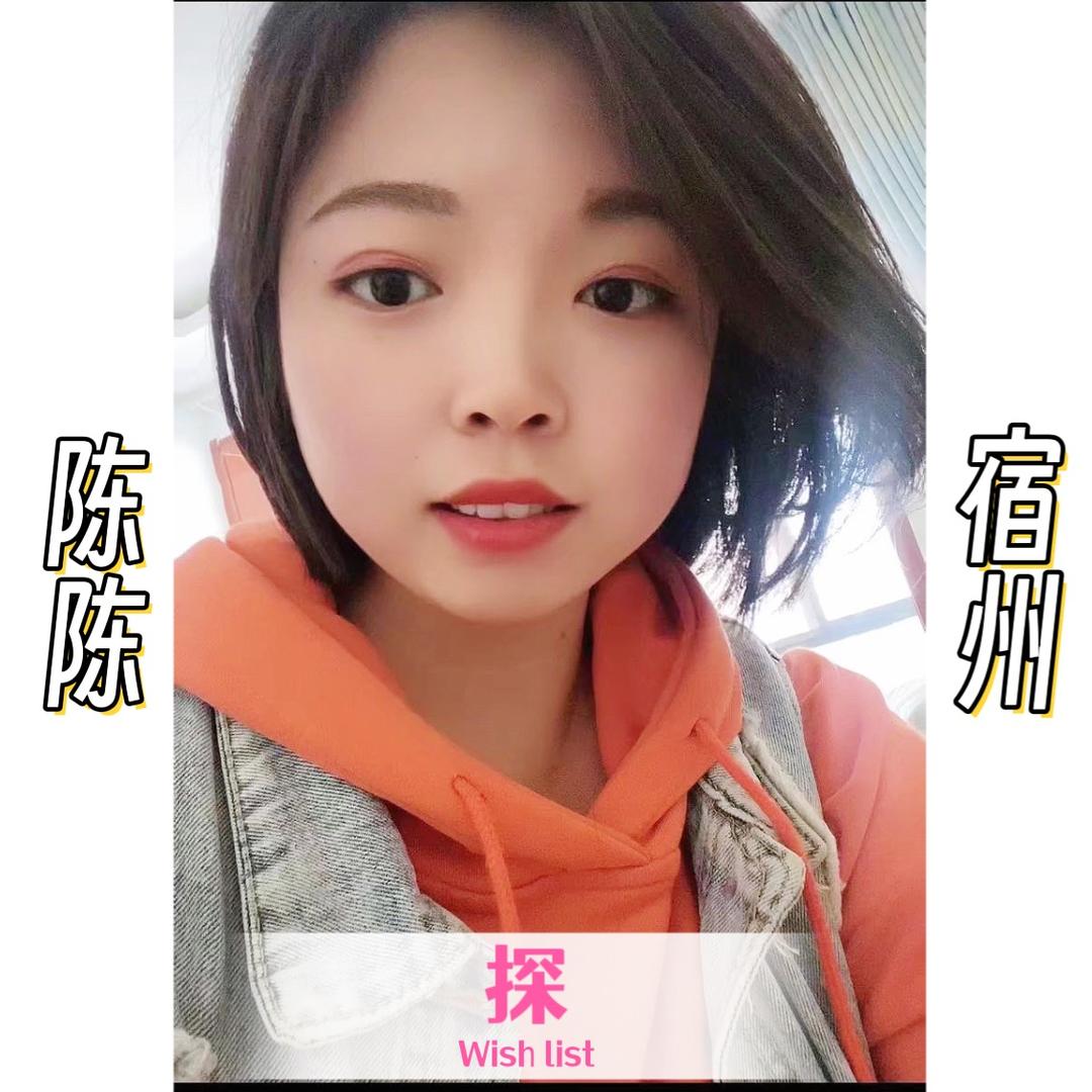 陈陈探宿州