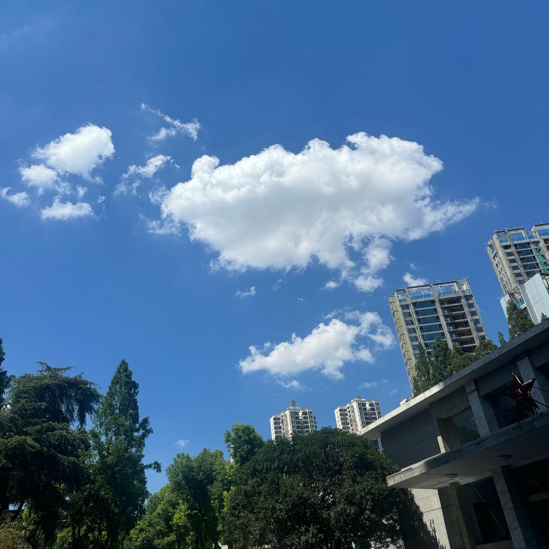 聚甄鸢(限流中)