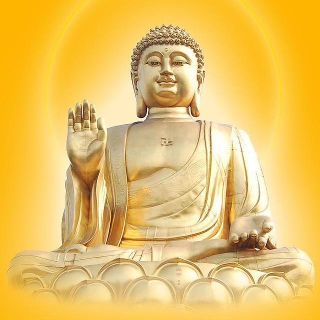 皇城根下的韭菜