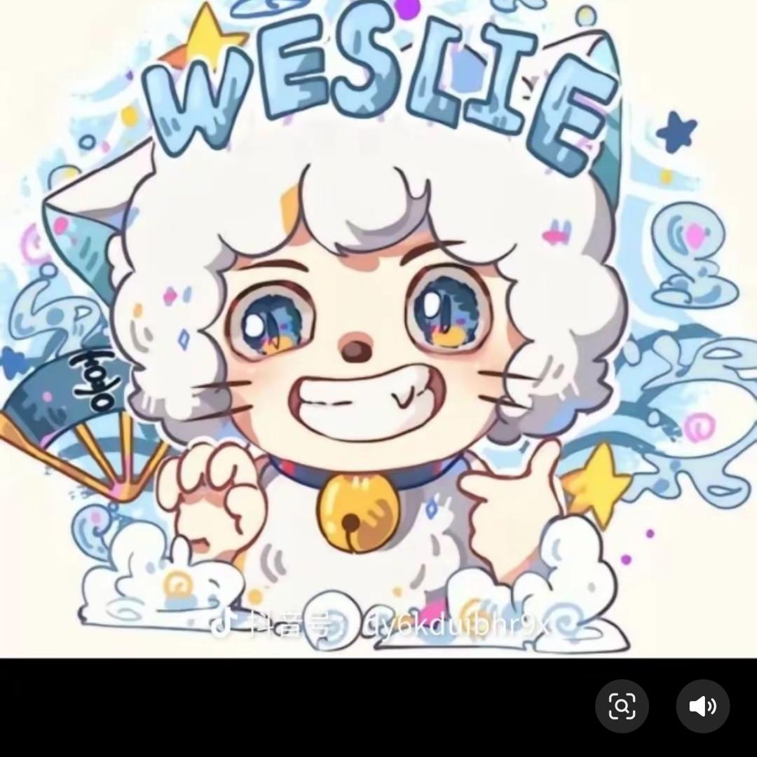 Zzr喜羊羊🐑