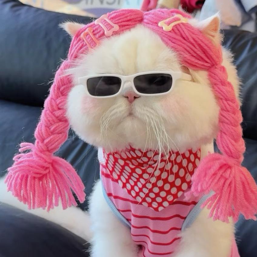 TTᕙ(•̤᷆ ॒ ູ॒•̤᷇)ᕘ