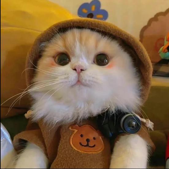 中鑫电子商务喵喵好物