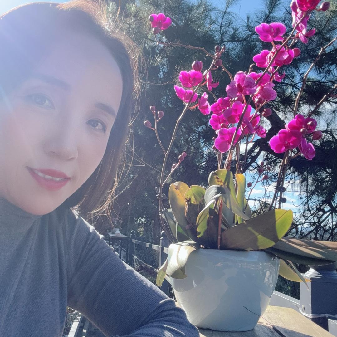 云南李红珊中高端普洱茶