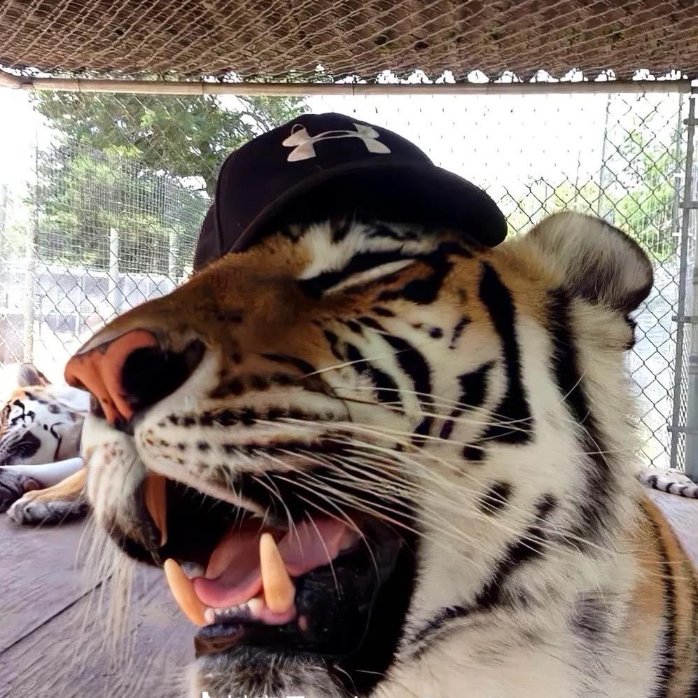 会被风吹向大海