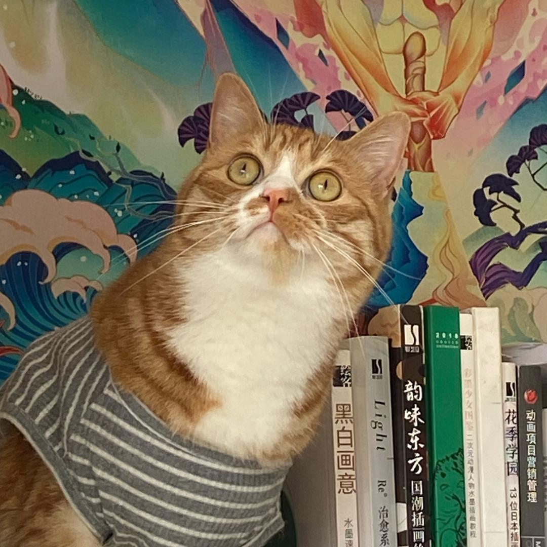 徐有钱儿dkr
