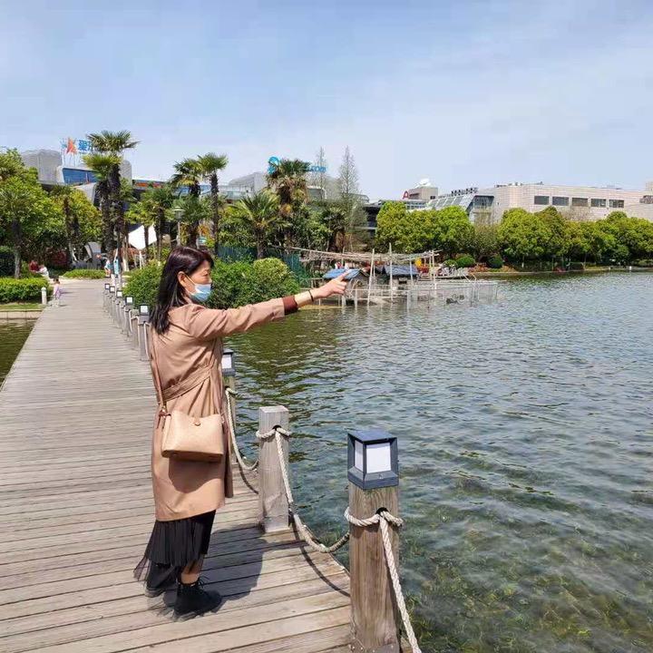 袁夏