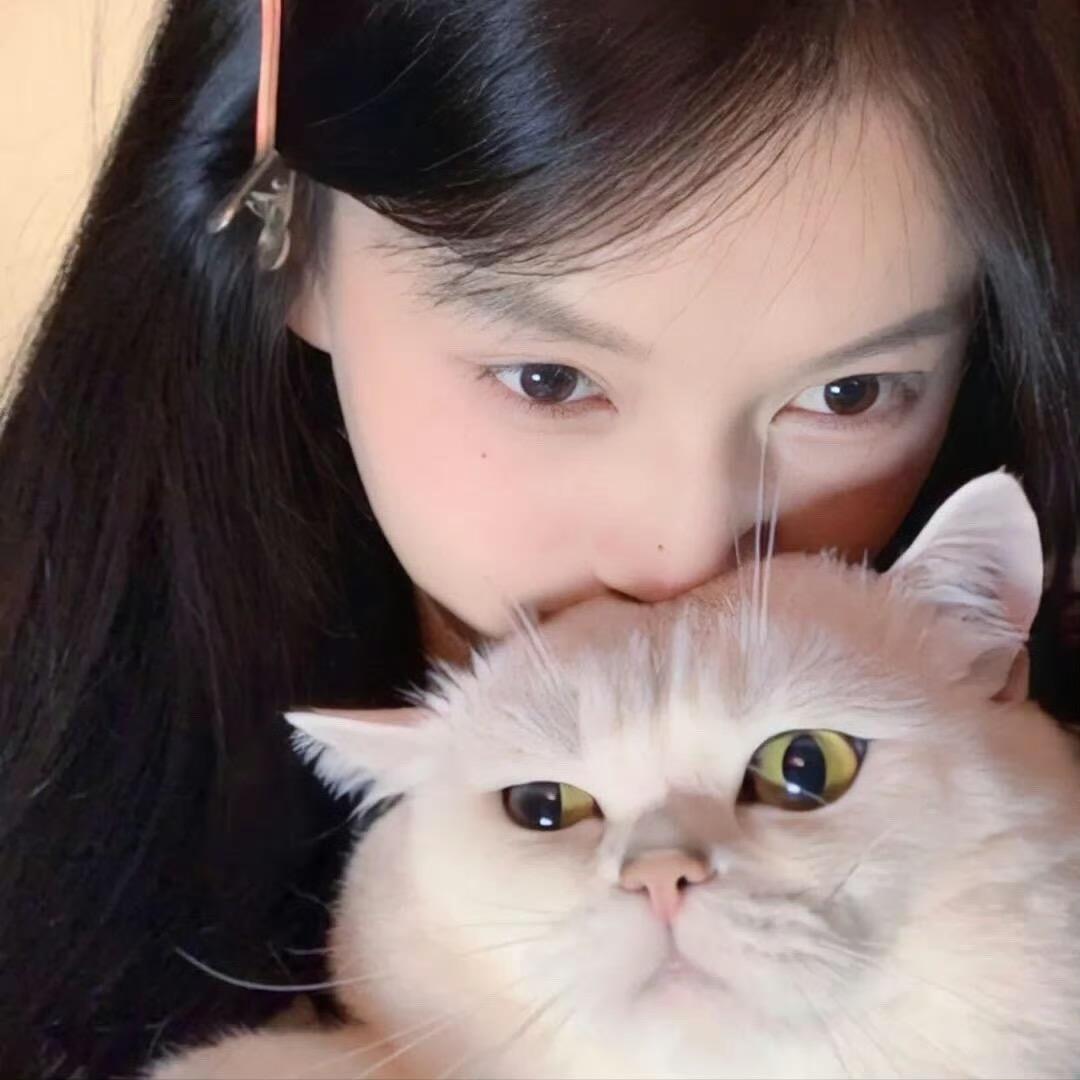 煎饼狗子
