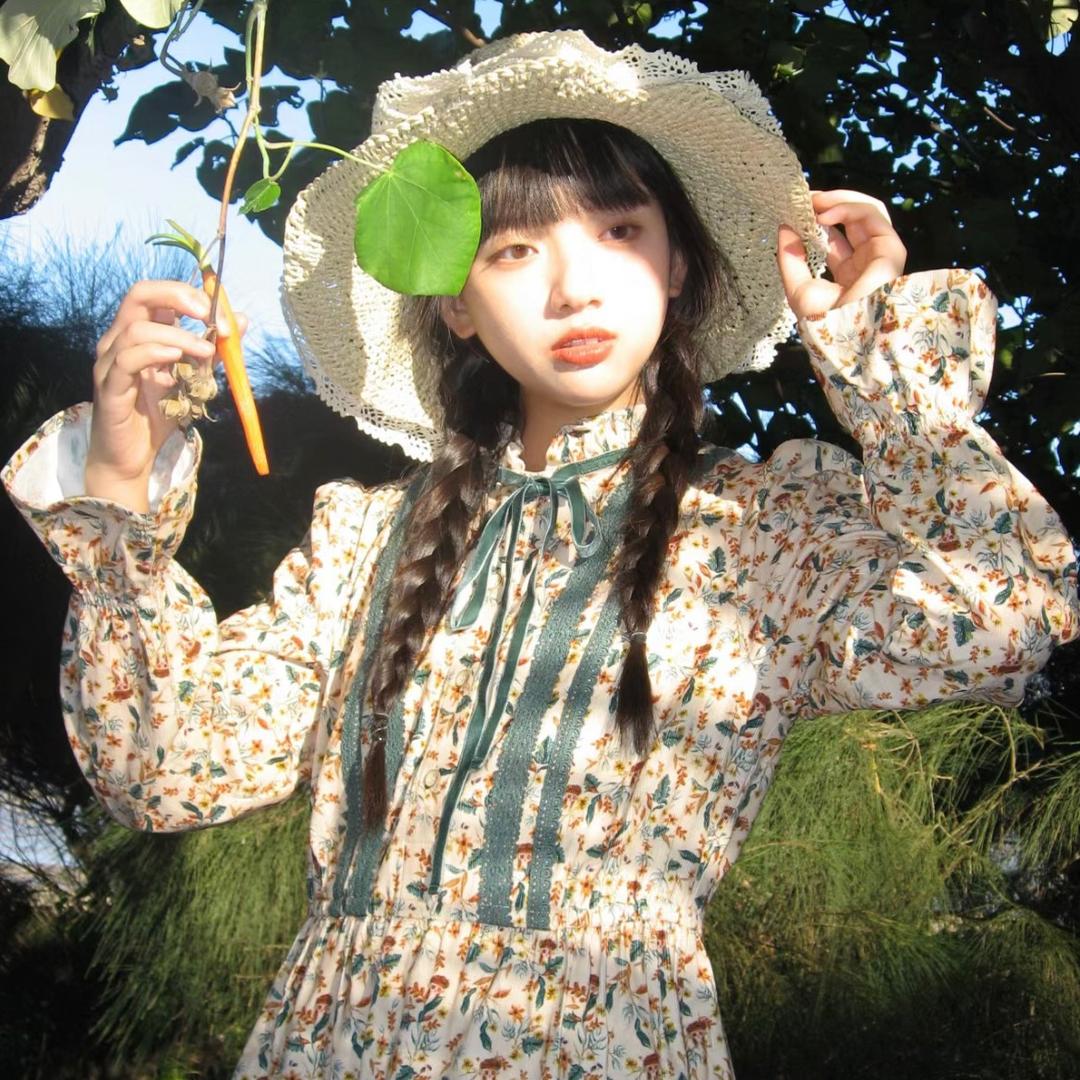 风中纸片人吃橘子