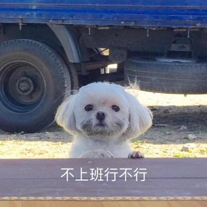 徐元宝是大壮福