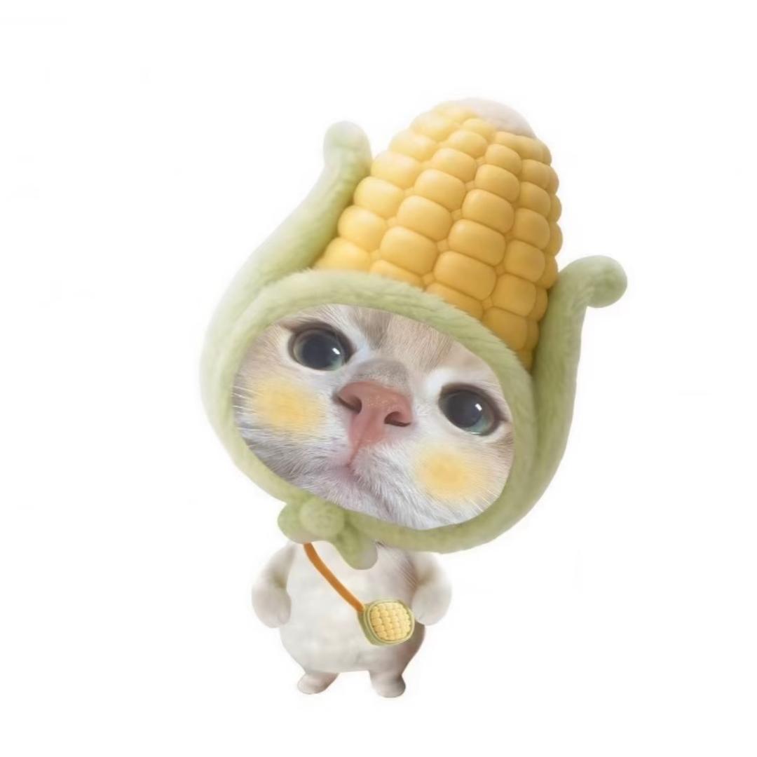 杨一杨