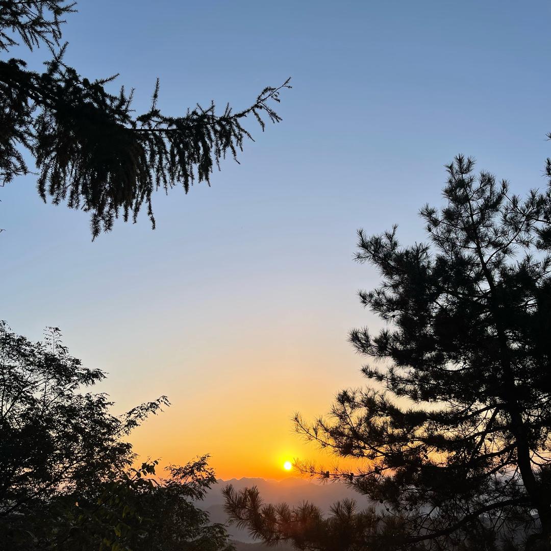 阿飞带你去旅行