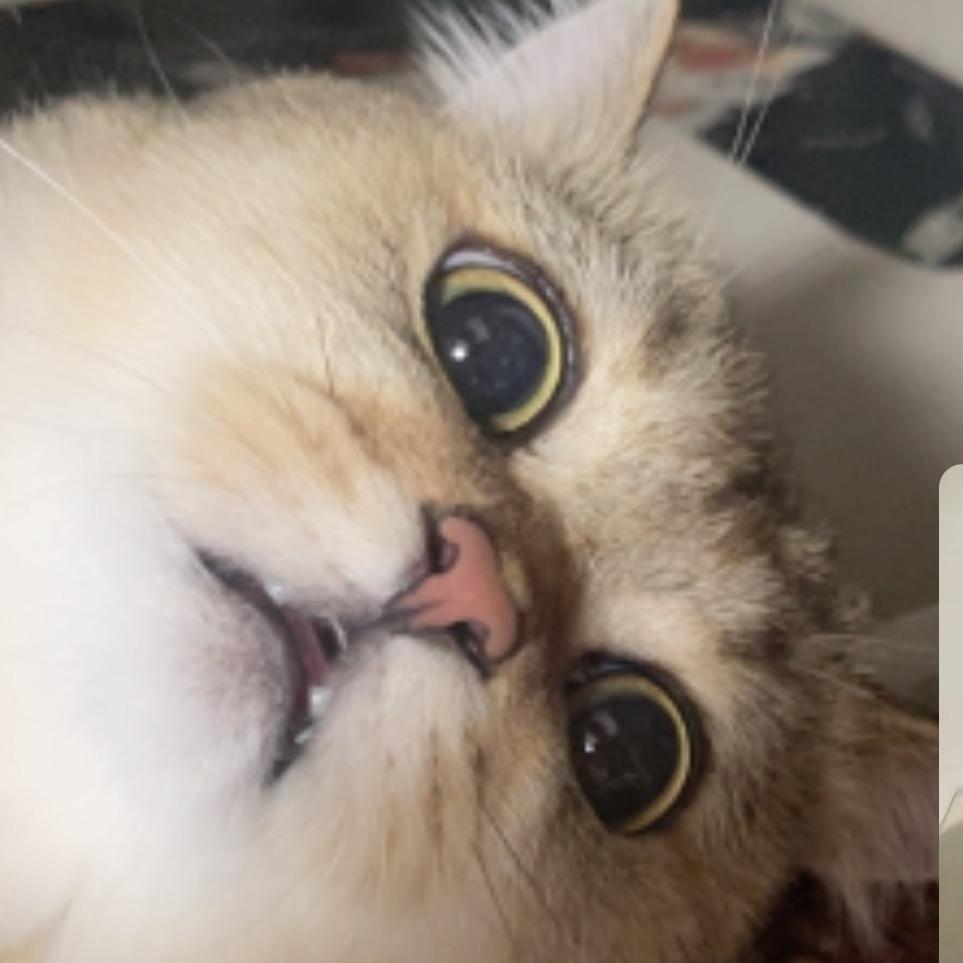 桃