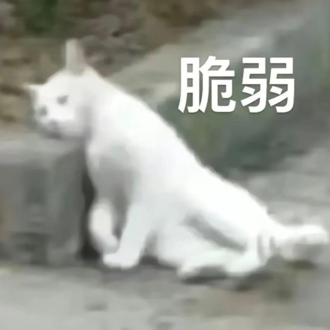 念星河