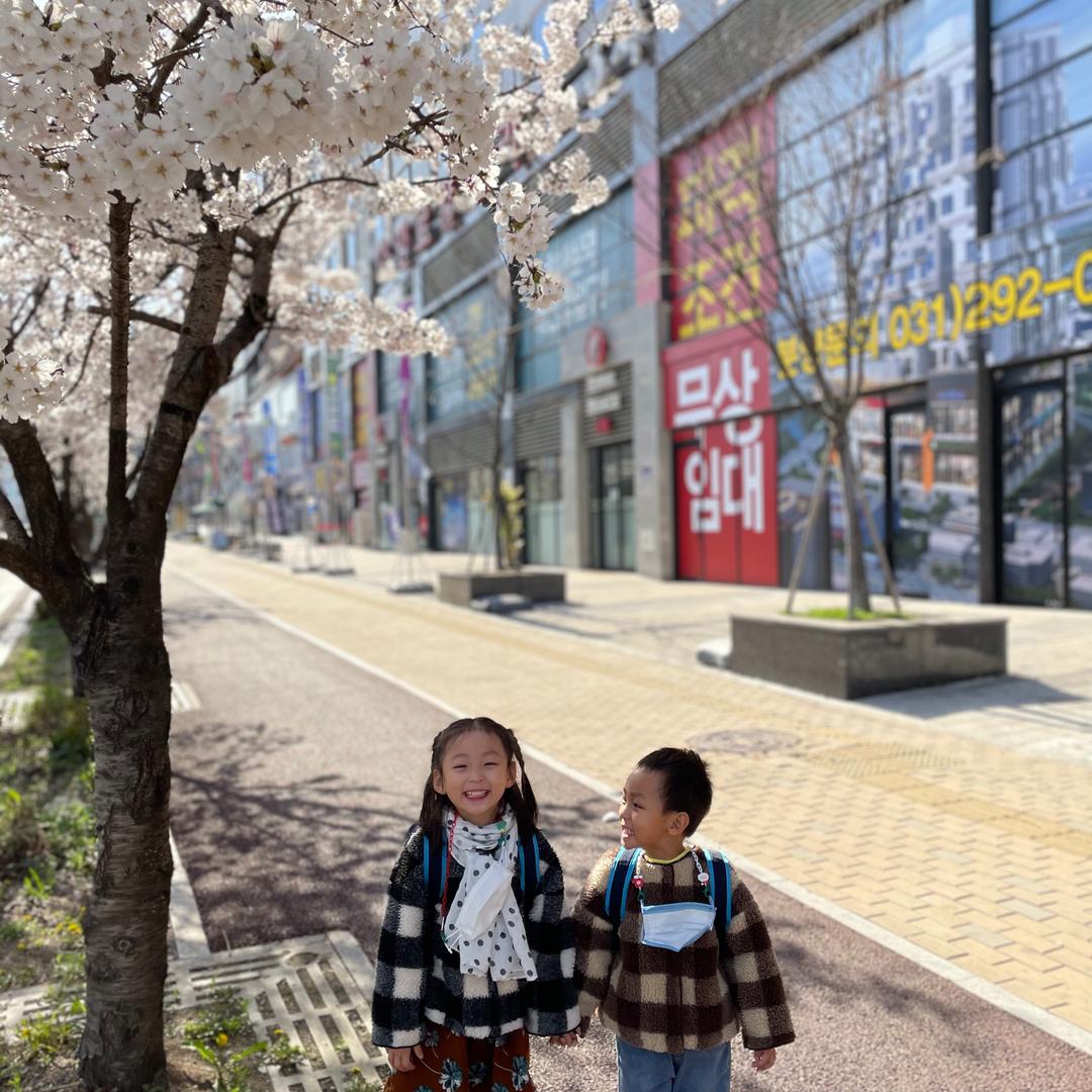 🇨🇳智雅🇰🇷