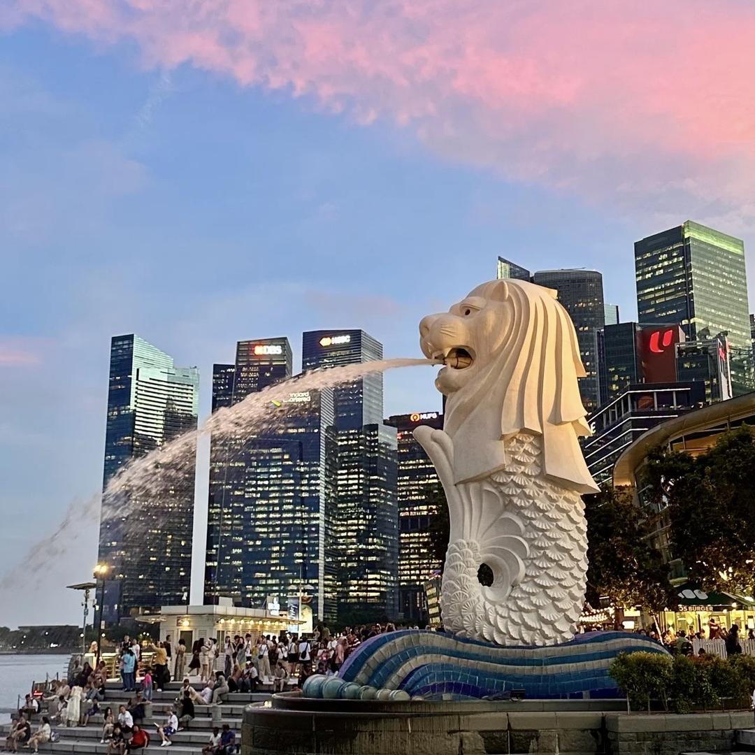 华天国际海外规划