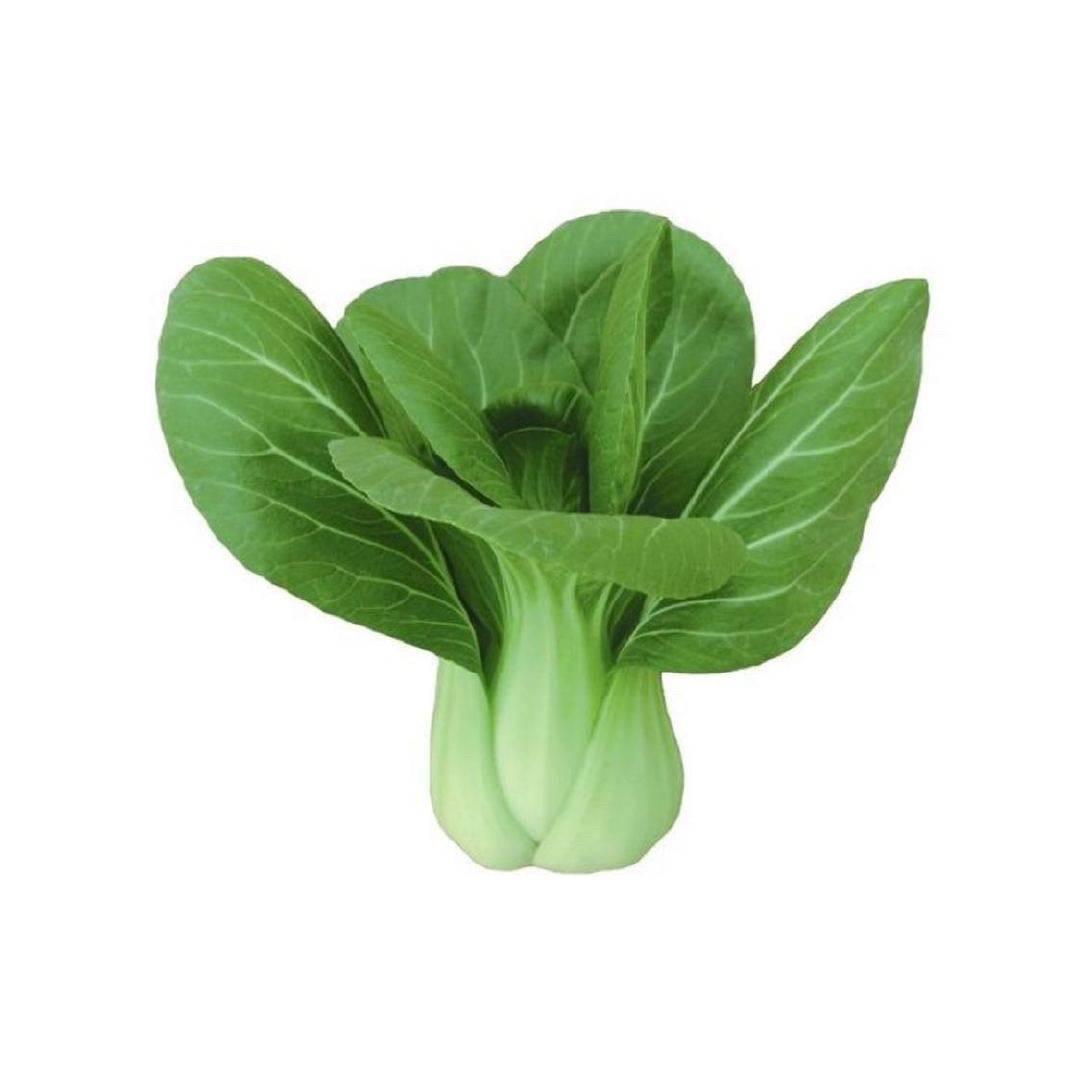 Aaaaa裤衩批发刘哥