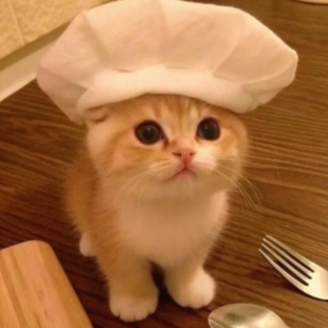 我想去澳大利亚摸考拉