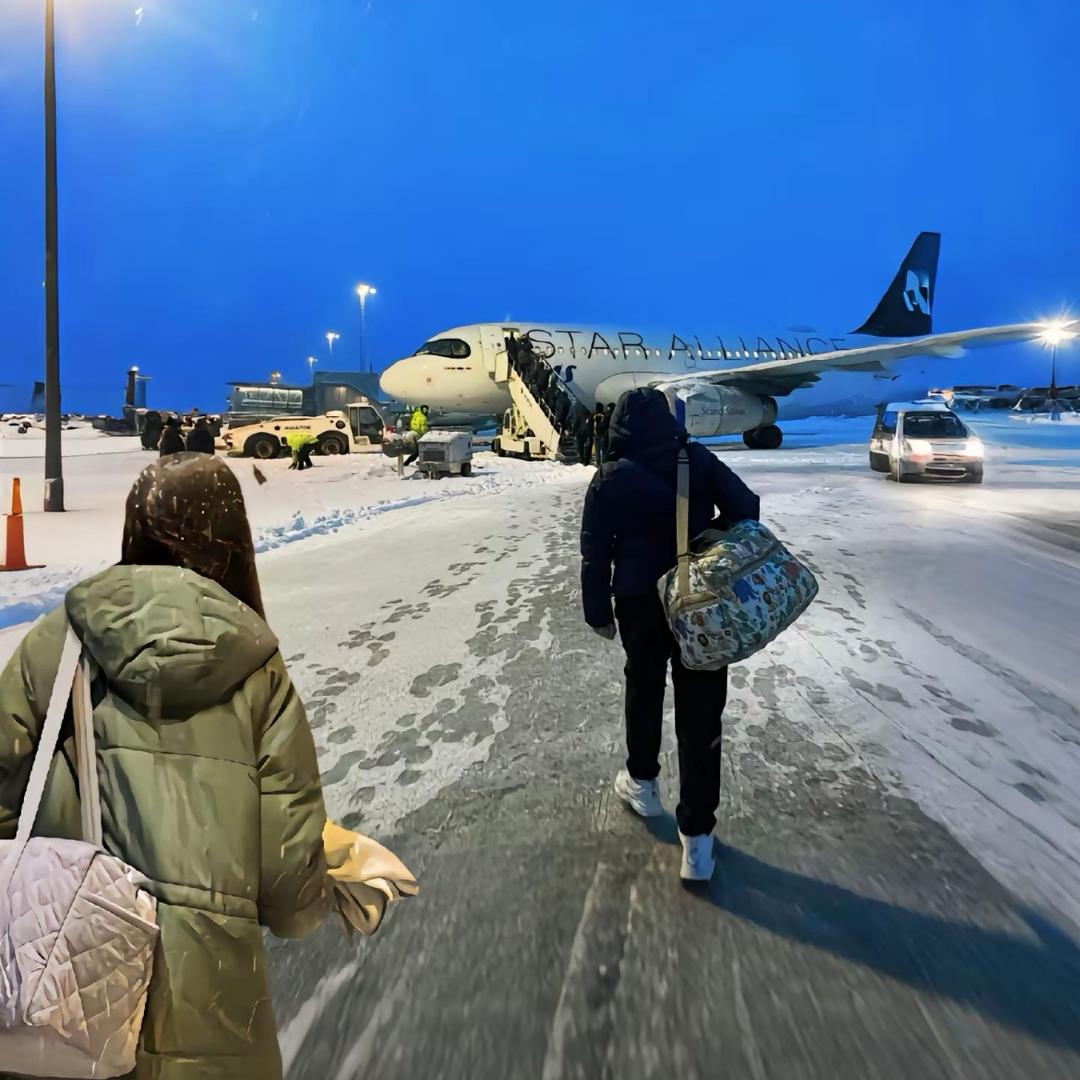 罗密欧与猪过夜.