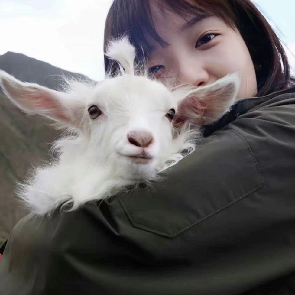 胡不糊：
