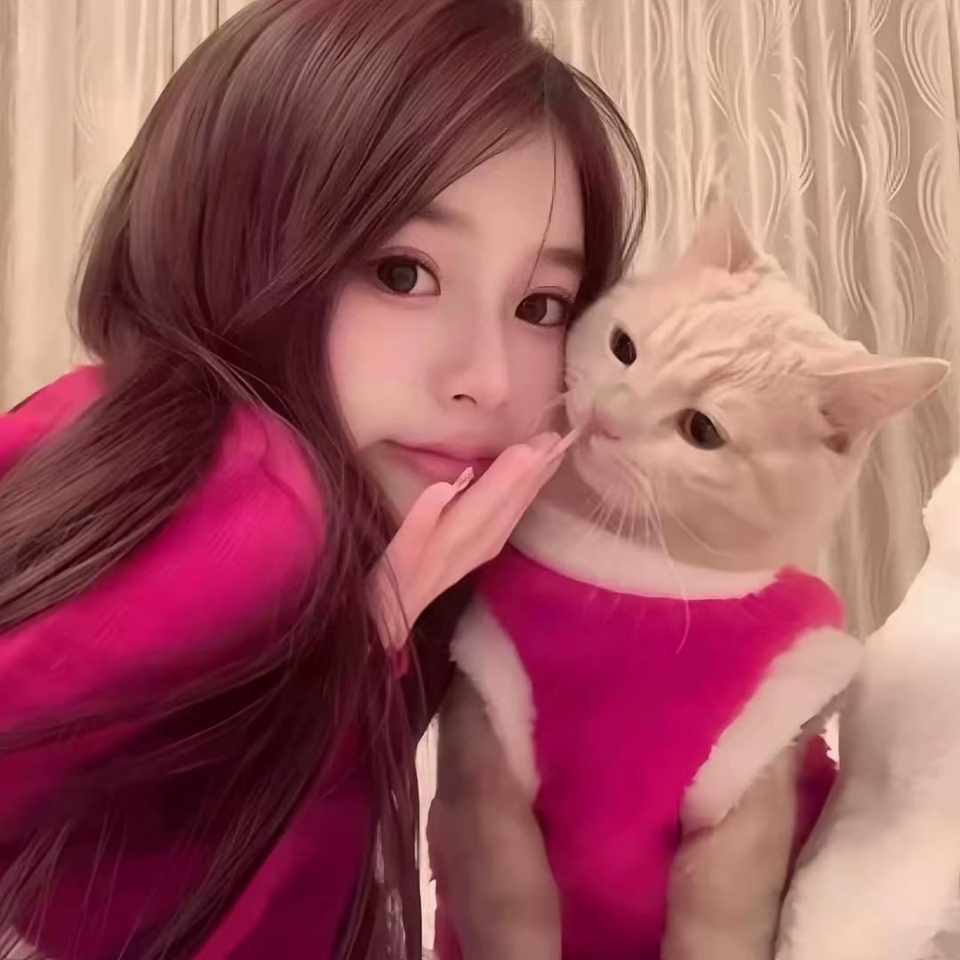 一只猫