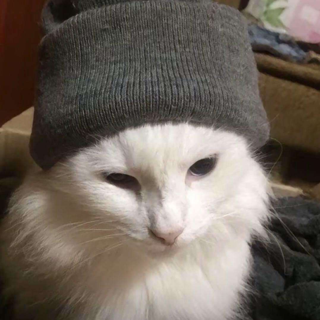 Sy.