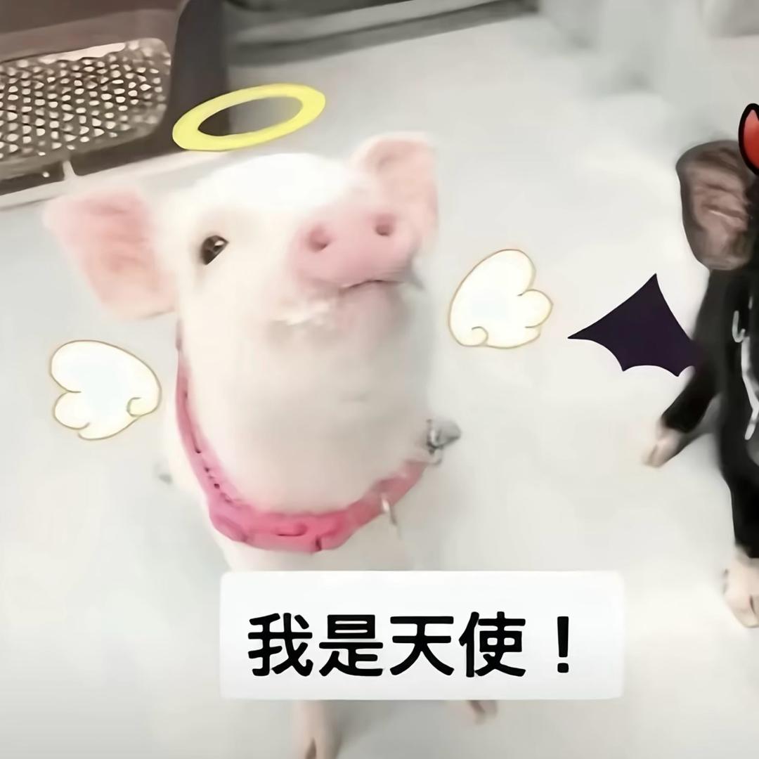 虾滑大王