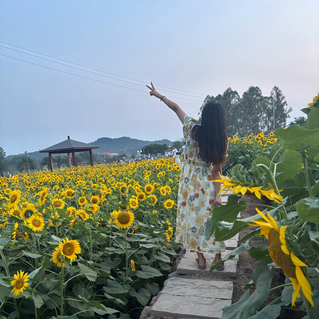 陈陈