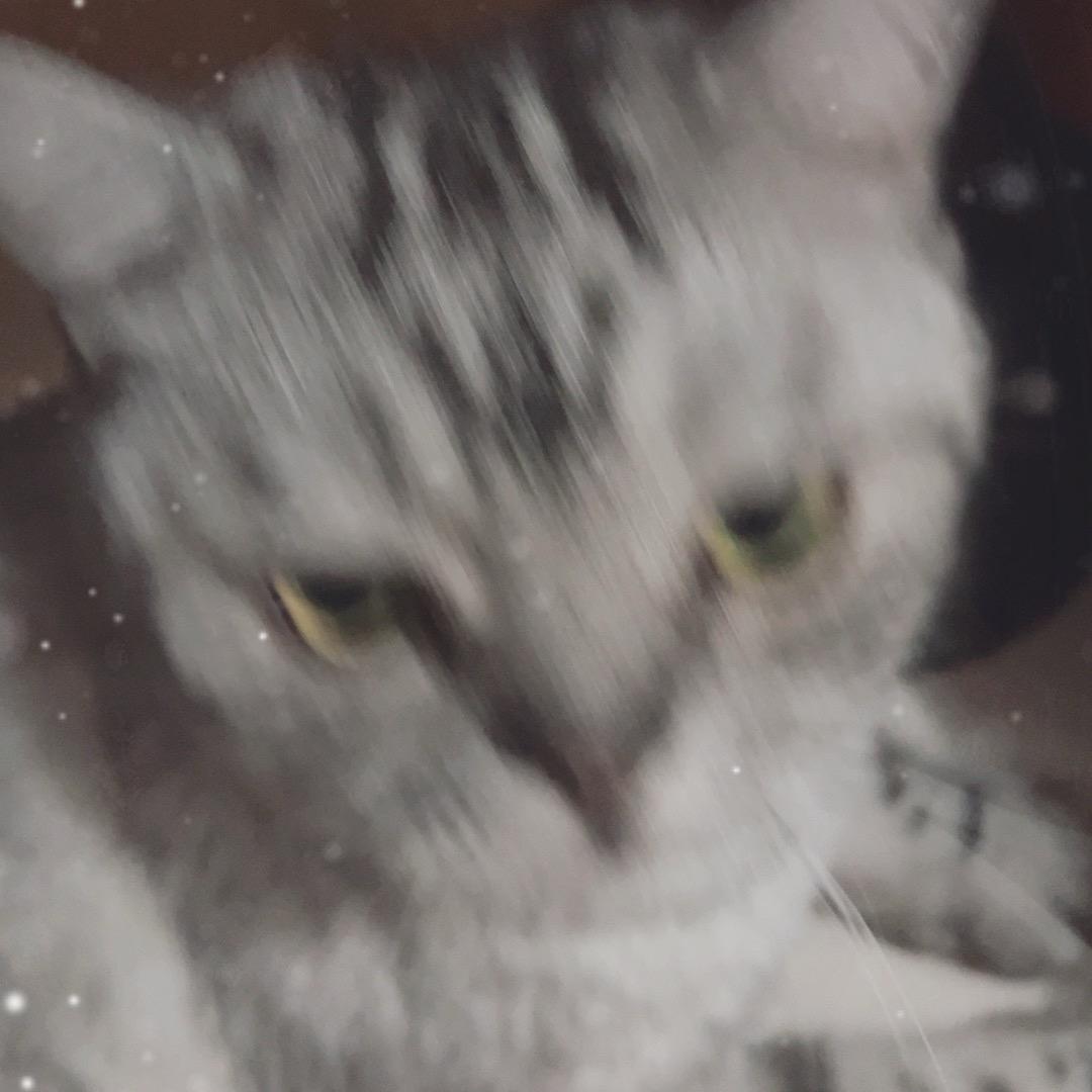 铁蛋蛋不铁(斗魂)