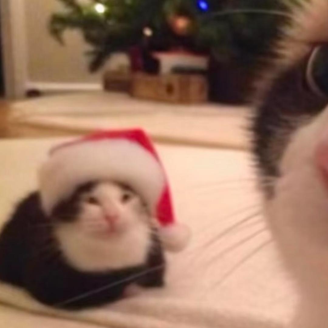 333%（赞了不回的取赞）